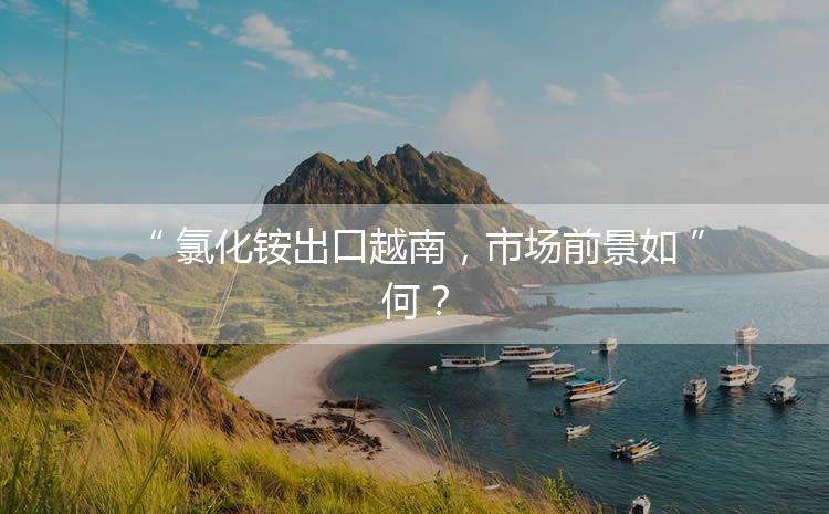 氯化銨出口越南，市場(chǎng)前景如何？